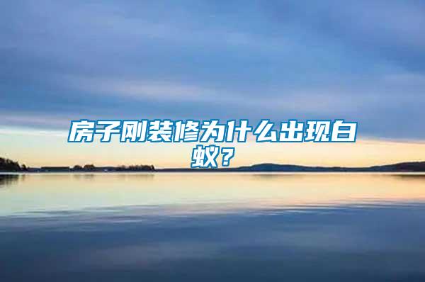 房子剛裝修為什么出現(xiàn)白蟻？