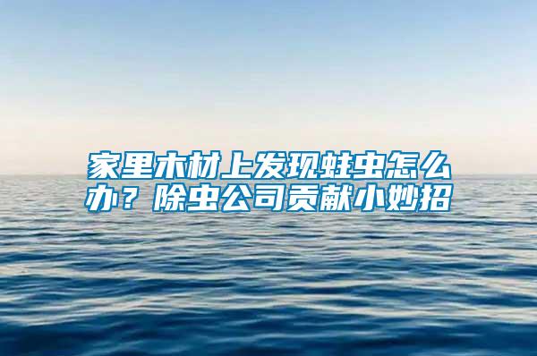家里木材上發(fā)現(xiàn)蛀蟲(chóng)怎么辦？除蟲(chóng)公司貢獻(xiàn)小妙招