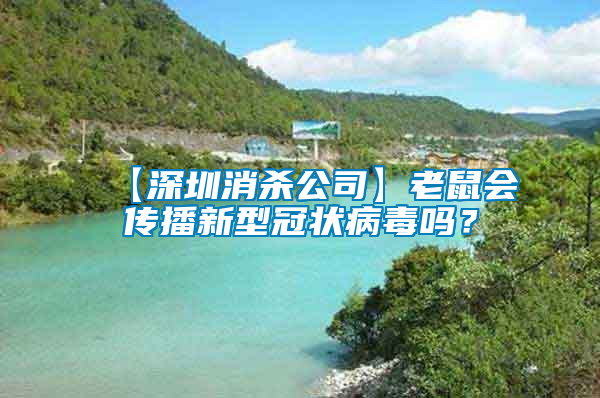 【深圳消殺公司】老鼠會(huì)傳播新型冠狀病毒嗎？