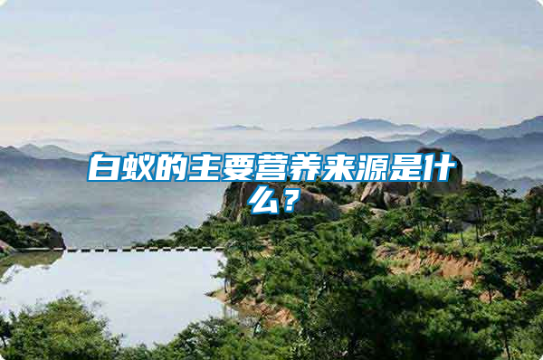 白蟻的主要營養(yǎng)來源是什么？