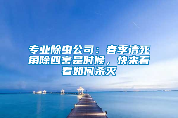 專業(yè)除蟲公司：春季清死角除四害是時候，快來看看如何殺滅