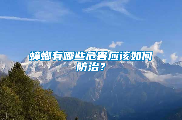 蟑螂有哪些危害應(yīng)該如何防治？