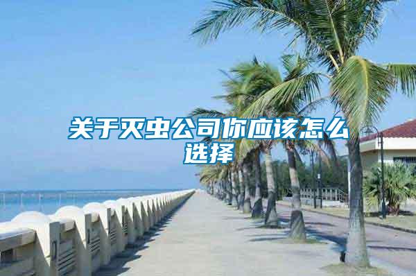 關(guān)于滅蟲公司你應該怎么選擇