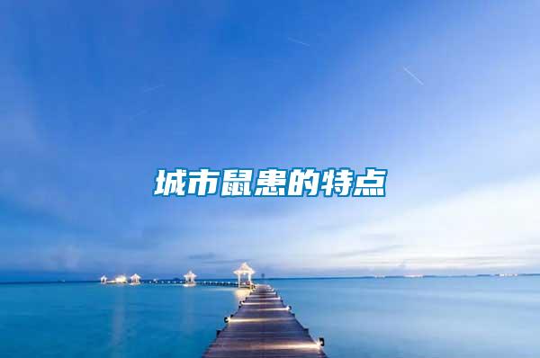 城市鼠患的特點(diǎn)