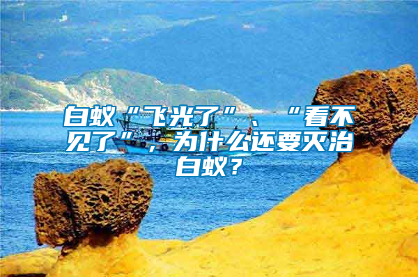 白蟻“飛光了”、“看不見(jiàn)了”，為什么還要滅治白蟻？