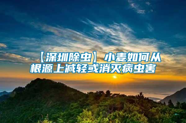 【深圳除蟲】小麥如何從根源上減輕或消滅病蟲害