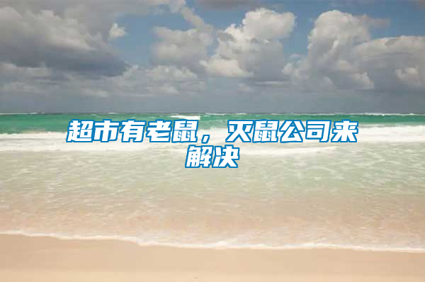 超市有老鼠，滅鼠公司來解決