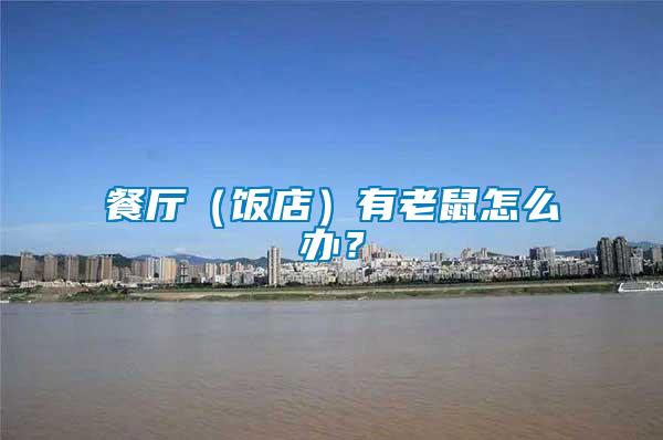 餐廳（飯店）有老鼠怎么辦？