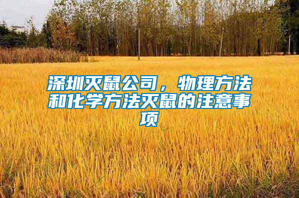 深圳滅鼠公司，物理方法和化學(xué)方法滅鼠的注意事項