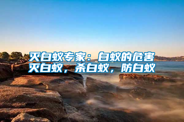 滅白蟻專家：白蟻的危害滅白蟻，殺白蟻，防白蟻