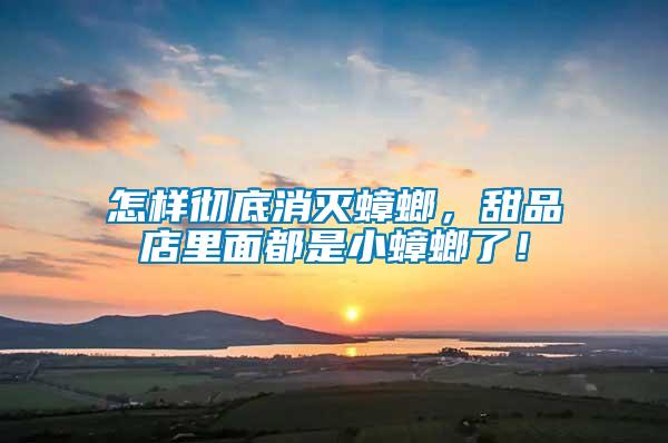 怎樣徹底消滅蟑螂，甜品店里面都是小蟑螂了！