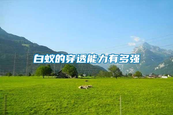 白蟻的穿透能力有多強