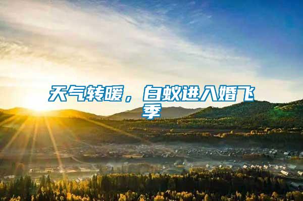 天氣轉(zhuǎn)暖，白蟻進(jìn)入婚飛季
