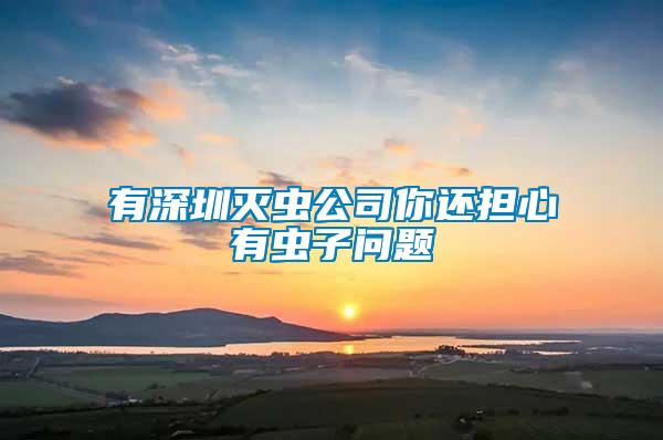 有深圳滅蟲公司你還擔(dān)心有蟲子問(wèn)題