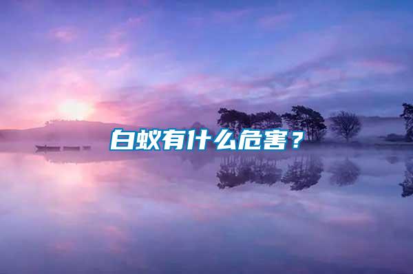 白蟻有什么危害？