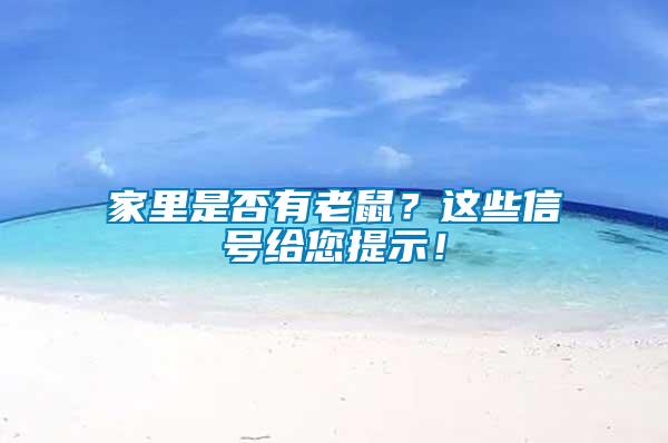 家里是否有老鼠？這些信號給您提示！
