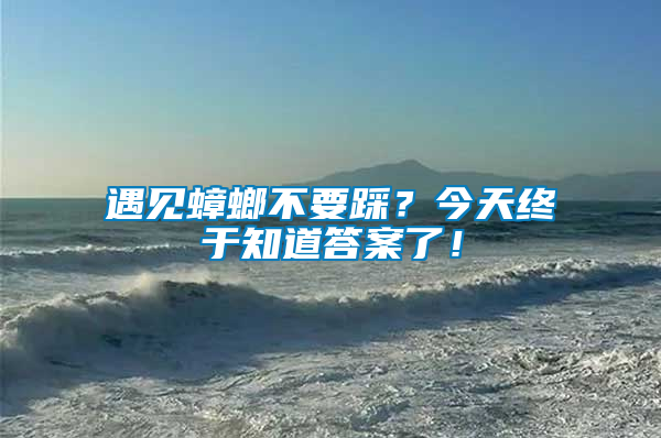 遇見蟑螂不要踩？今天終于知道答案了！