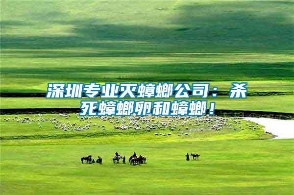 深圳專業(yè)滅蟑螂公司：殺死蟑螂卵和蟑螂！