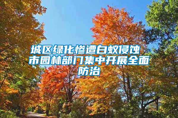 城區(qū)綠化慘遭白蟻侵蝕 市園林部門集中開(kāi)展全面防治