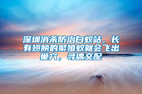 深圳消殺防治白蟻站，長(zhǎng)有翅膀的繁殖蟻就會(huì)飛出巢穴，尋偶交配