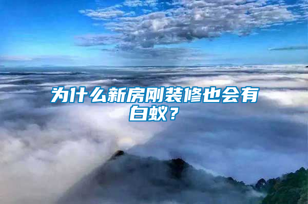為什么新房剛裝修也會(huì)有白蟻？