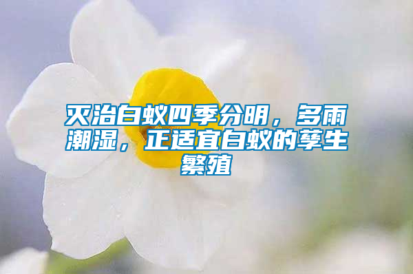 滅治白蟻四季分明，多雨潮濕，正適宜白蟻的孳生繁殖