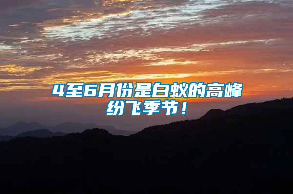 4至6月份是白蟻的高峰紛飛季節(jié)！