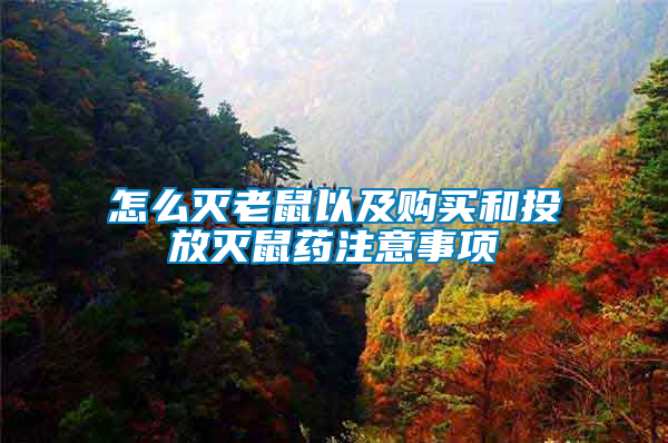 怎么滅老鼠以及購買和投放滅鼠藥注意事項
