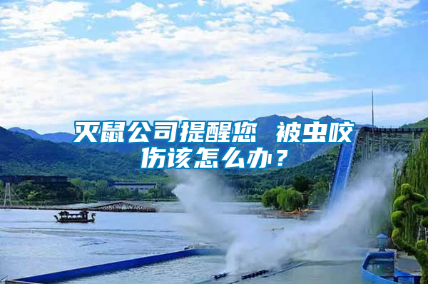 滅鼠公司提醒您 被蟲咬傷該怎么辦？