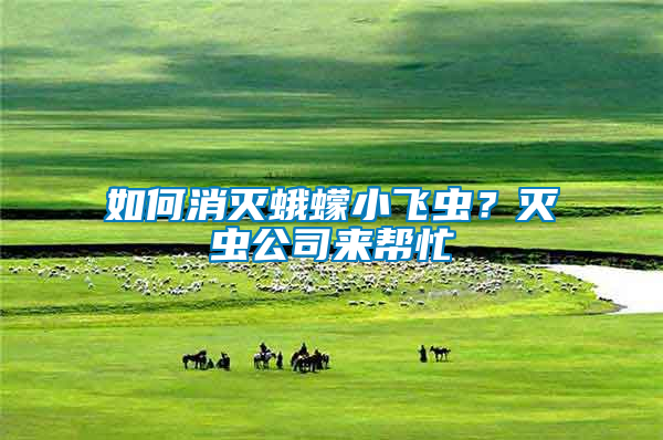 如何消滅蛾蠓小飛蟲？滅蟲公司來幫忙