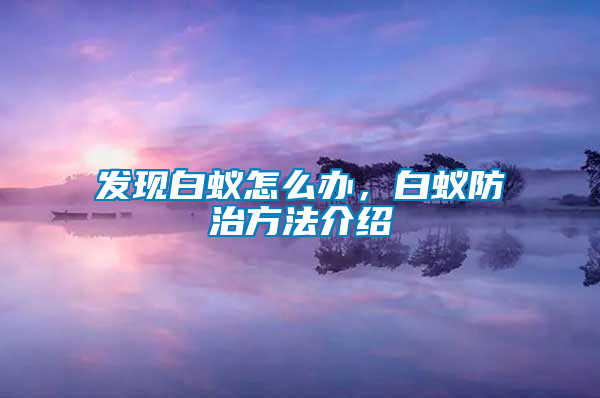 發(fā)現(xiàn)白蟻怎么辦，白蟻防治方法介紹