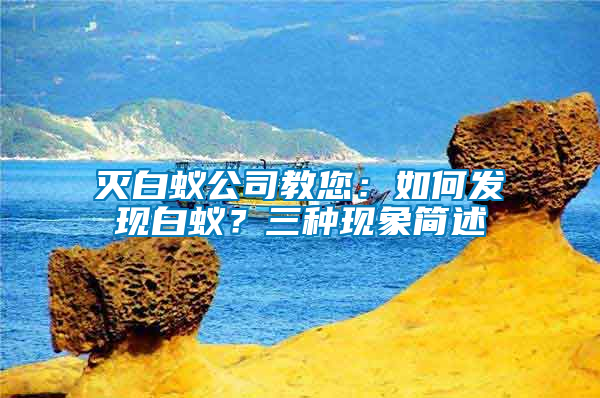 滅白蟻公司教您：如何發(fā)現(xiàn)白蟻？三種現(xiàn)象簡述