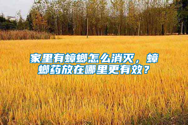 家里有蟑螂怎么消滅，蟑螂藥放在哪里更有效？