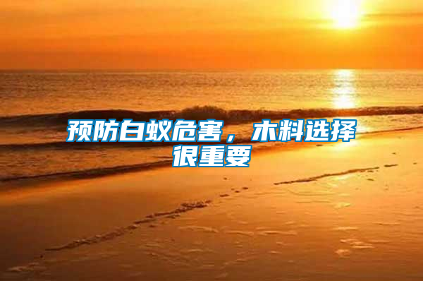 預防白蟻危害，木料選擇很重要