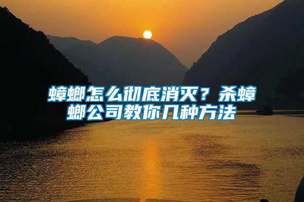 蟑螂怎么徹底消滅？殺蟑螂公司教你幾種方法