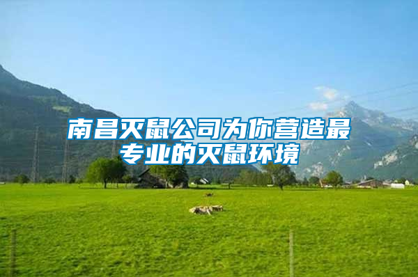 南昌滅鼠公司為你營(yíng)造最專業(yè)的滅鼠環(huán)境