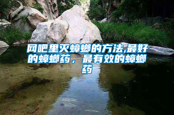 網(wǎng)吧里滅蟑螂的方法,最好的蟑螂藥，最有效的蟑螂藥