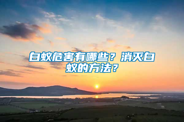 白蟻危害有哪些？消滅白蟻的方法？