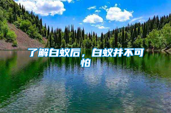 了解白蟻后，白蟻并不可怕