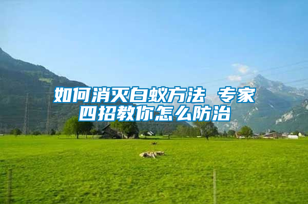 如何消滅白蟻方法 專(zhuān)家四招教你怎么防治