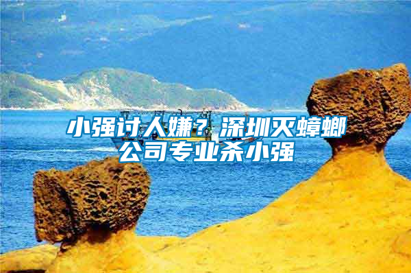 小強(qiáng)討人嫌？深圳滅蟑螂公司專業(yè)殺小強(qiáng)