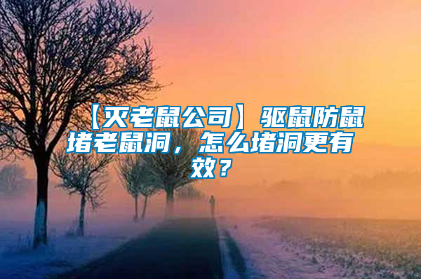 【滅老鼠公司】驅(qū)鼠防鼠堵老鼠洞，怎么堵洞更有效？