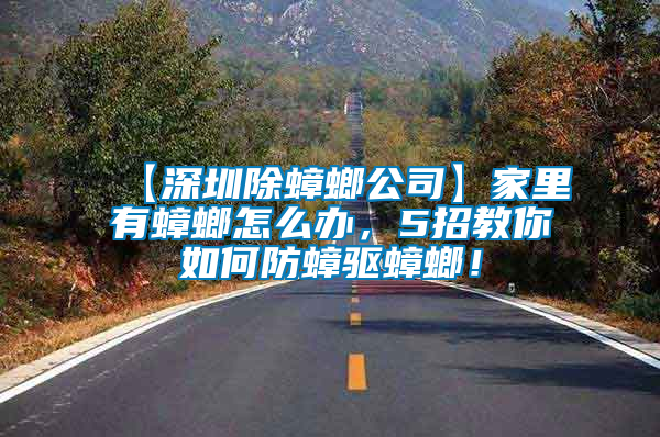 【深圳除蟑螂公司】家里有蟑螂怎么辦，5招教你如何防蟑驅蟑螂！
