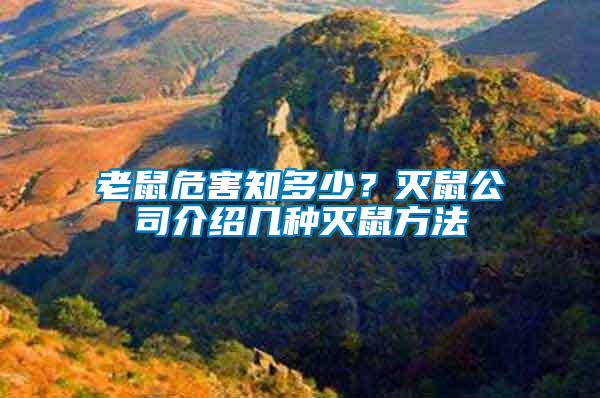 老鼠危害知多少？滅鼠公司介紹幾種滅鼠方法
