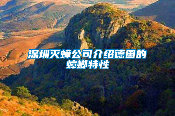深圳滅蟑公司介紹德國(guó)的蟑螂特性