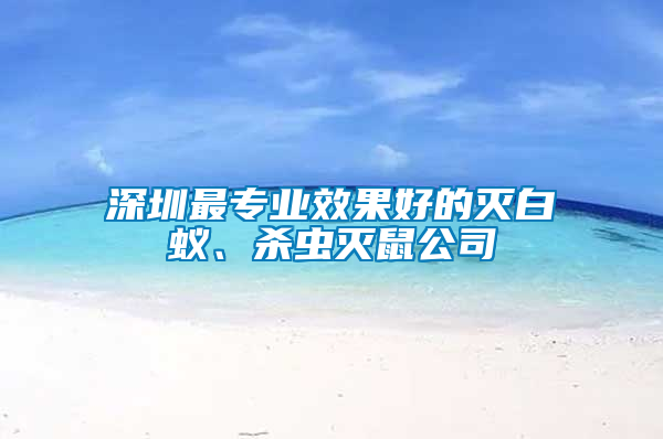 深圳最專(zhuān)業(yè)效果好的滅白蟻、殺蟲(chóng)滅鼠公司