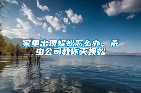 家里出現(xiàn)蜈蚣怎么辦，殺蟲公司教你滅蜈蚣