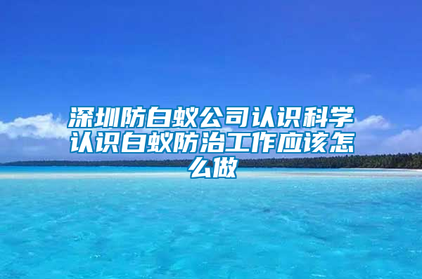 深圳防白蟻公司認識科學認識白蟻防治工作應該怎么做