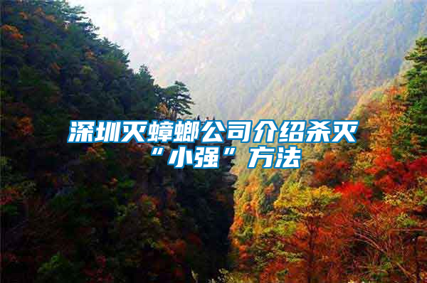 深圳滅蟑螂公司介紹殺滅“小強(qiáng)”方法