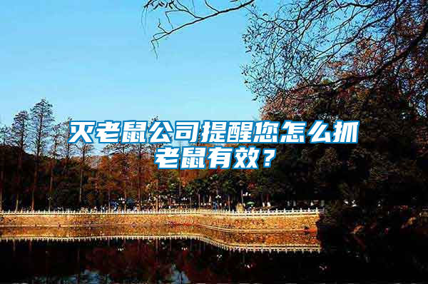 滅老鼠公司提醒您怎么抓老鼠有效？